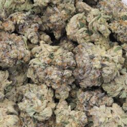 Tiger Cake Strain Flower - Hybrid Tiger Cake Strain Flower - Hybrid