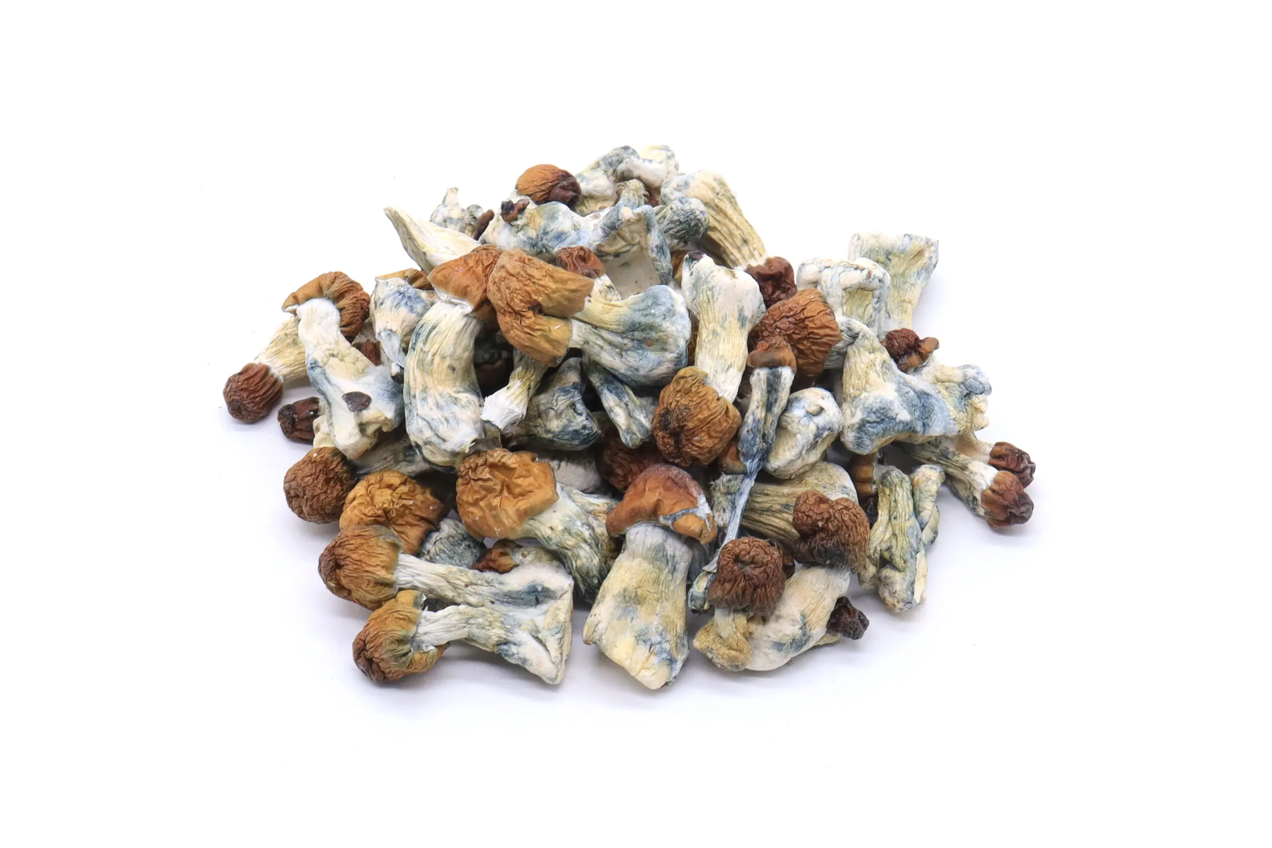 Vietnamese Mushrooms