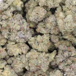 Alien Space Cake Strain Flower - Hybrid