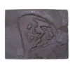 Batman Hash