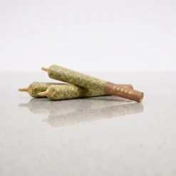 C.R.E.A.M 0.6g Pre-Rolls - 100 Pack