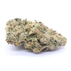 Gypsy Road Strain Flower - Hybrid