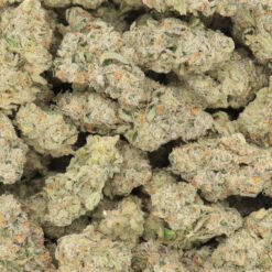 Gypsy Road Strain Flower - Hybrid