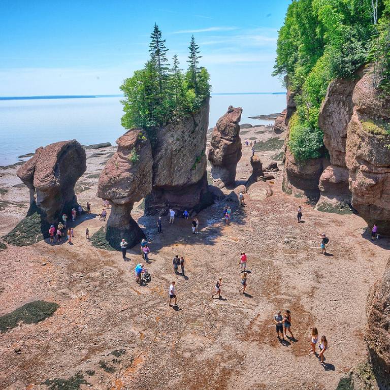 Buy Weed Online In Moncton