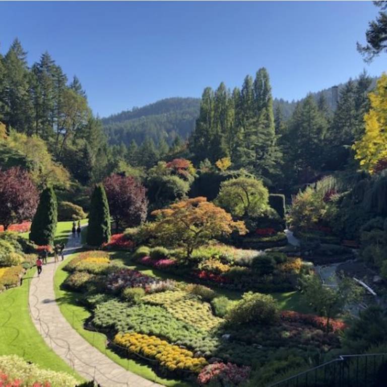 Buy Weed Online In Victoria