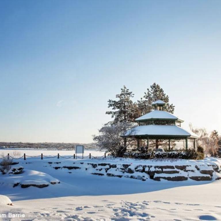 Buy Weed Online In Barrie