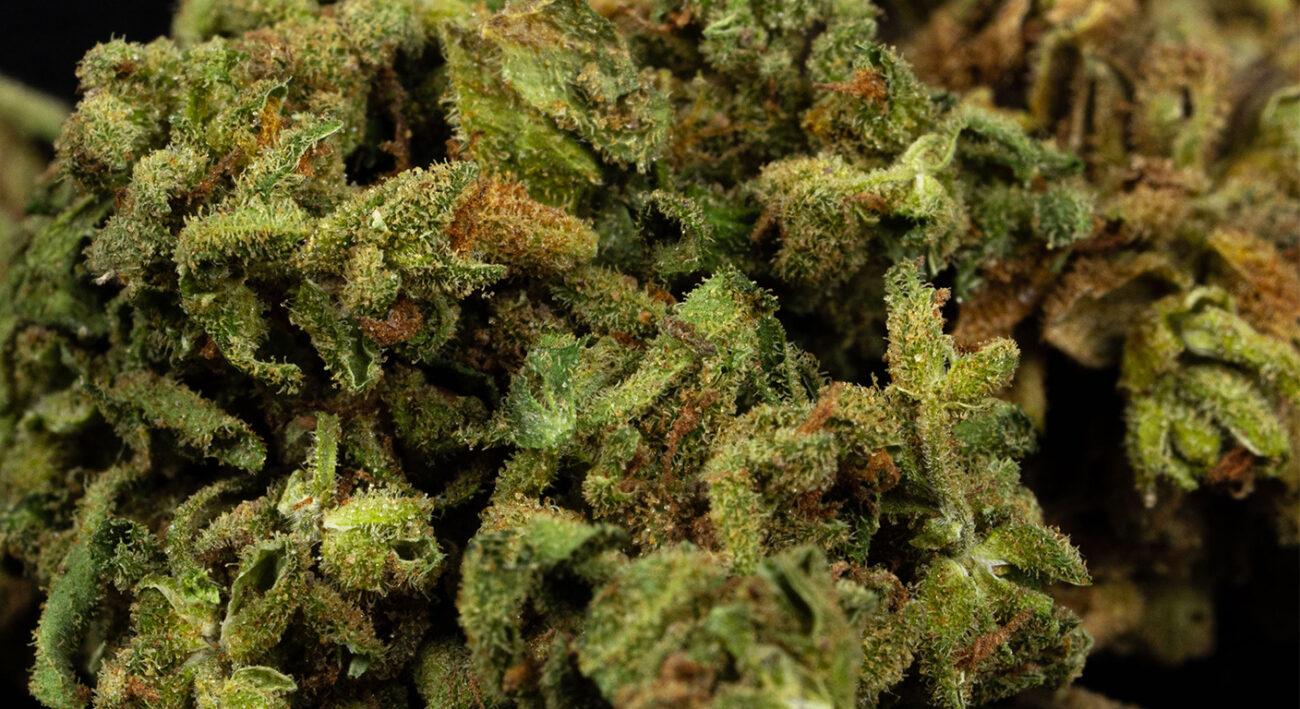 Comparison chart of cannabis weed grades AAAA, AAA, AA, and A