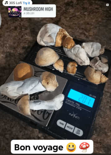 Code Blue - Freeze Dried Mushrooms