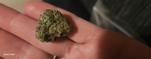 Glueberry OG Strain Flower - Hybrid