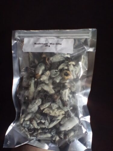 Blue Goba Mushrooms