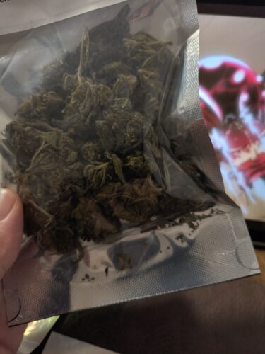 Cannalope Kush Strain - Greenhouse Flower - Indica Dominant Hybrid