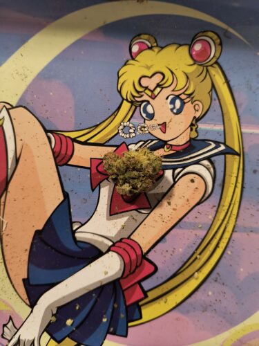 Purple Haze Strain Flower - Sativa Dominant Hybrid