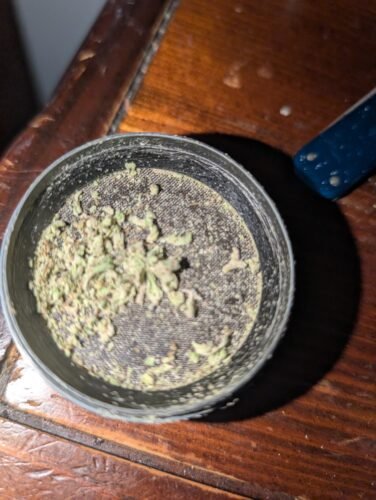 Skywalker OG Strain Small Buds - Indica Dominant Hybrid