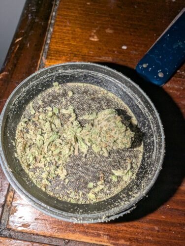 Skywalker OG Strain Small Buds - Indica Dominant Hybrid