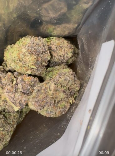Purple Nurple Strain AAA Small Buds - Indica Dominant Hybrid