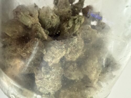 Chemnesia Strain AAA Small Buds - Sativa Dominant Hybrid