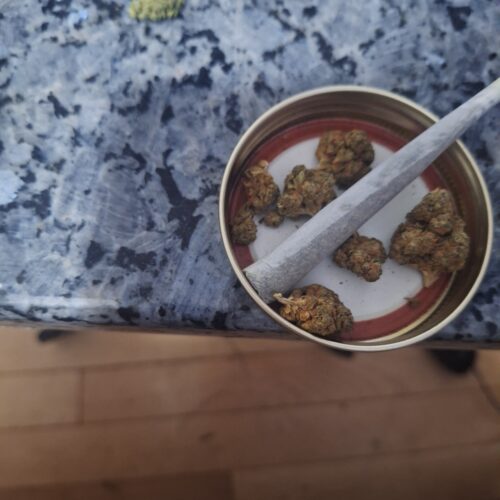 Green Crack Strain AA Pre-Rolls - Sativa Dominant Hybrid - 1 gram