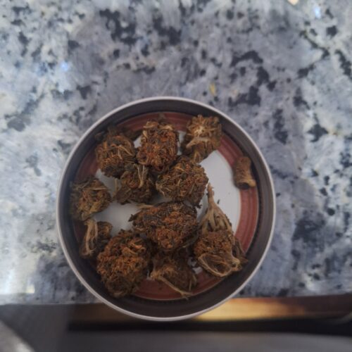 Pandora's Box Strain Flower - Hybrid