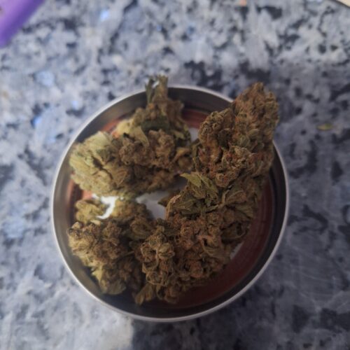 Green Dream Strain Flower - Hybrid