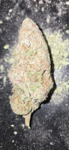 Subzero Strain Flower - Hybrid