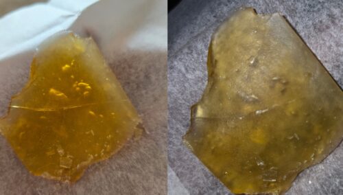 Alien Kush Strain Shatter - Hybrid