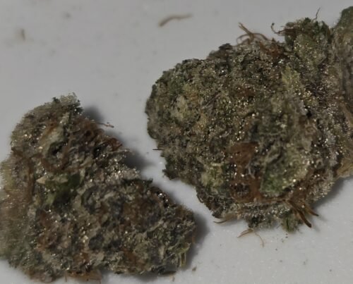 Zoo Dawg Strain Flower - Indica Dominant Hybrid