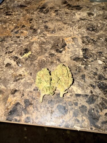 OG Kush Strain Flower - Sativa Dominant Hybrid