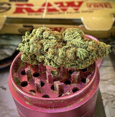 Ice Dream Strain Flower - Indica Dominant Hybrid