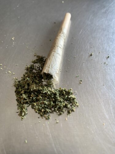 Green Crack Strain AA Pre-Rolls - Sativa Dominant Hybrid - 1 gram