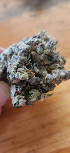 Tiger Cake Strain Flower - Hybrid