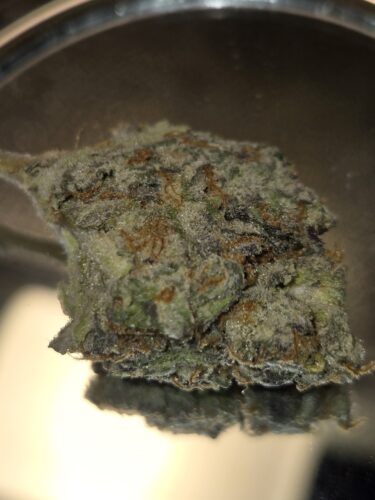Super Lemon Haze Strain Flower - Sativa Dominant Hybrid