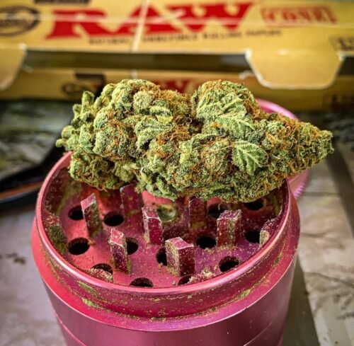 Mango Sapphire Strain Flower - Indica Dominant Hybrid