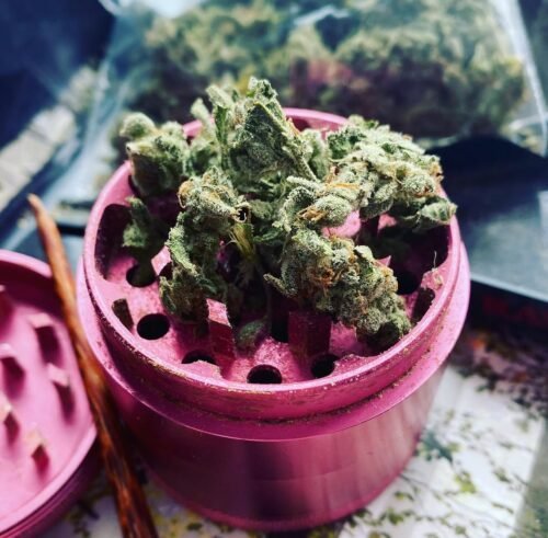 Ingrid Strain Flower - Indica Dominant Hybrid