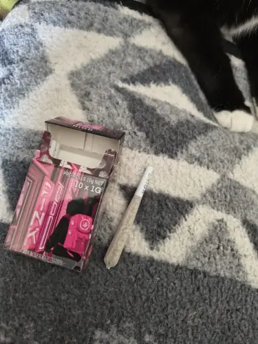 IB High AAAA Pre-Rolls (10 Pack)