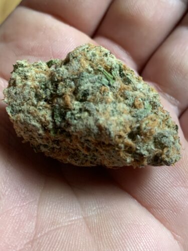 Dante's Wrath Strain Flower - Indica Dominant Hybrid