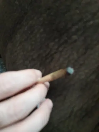Cherry Garcia Strain AA Pre-Rolls - Hybrid - 1 gram