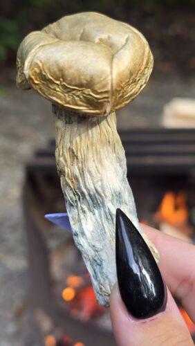 Gold Member Mushrooms
